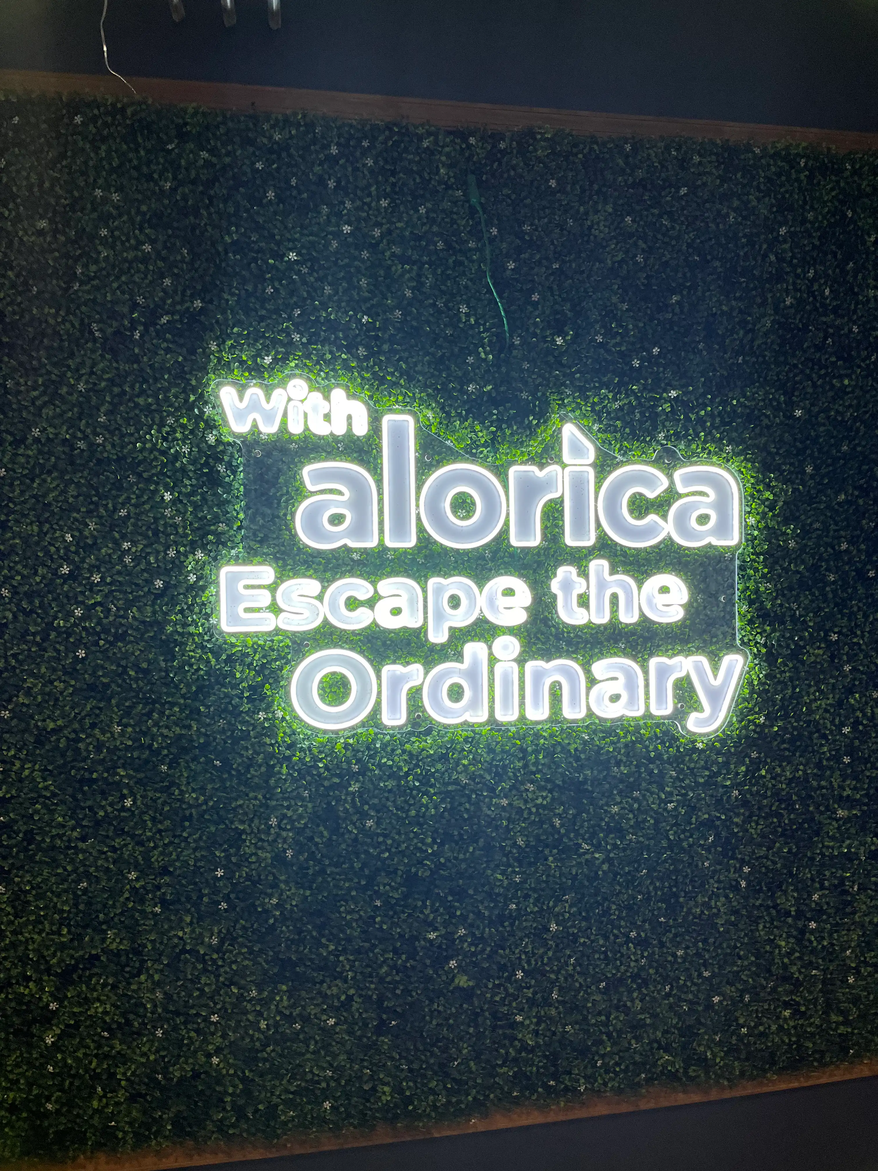 Letrero LED Neon de Alorica